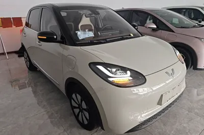 Wuling Bingo