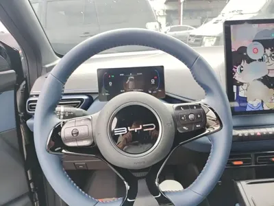 BYD Seagull