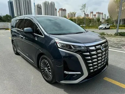 Denza Denza D9