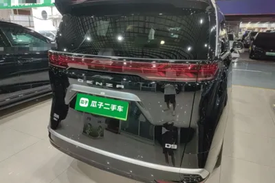 Denza D9