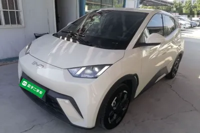 BYD Seagull