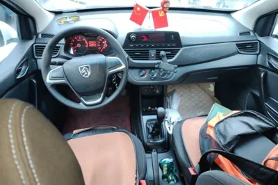 Baojun 310