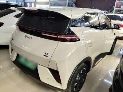 BYD Seagull