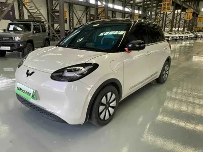 Wuling Bingo