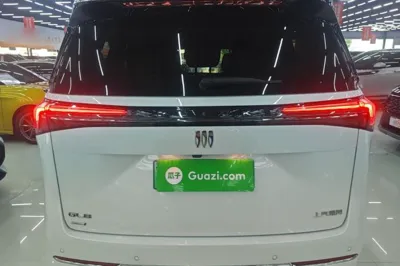 Buick GL8 New Energy