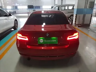 BMW 2 Series (Import)