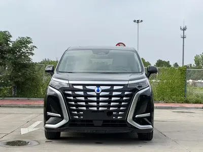 Denza Denza D9