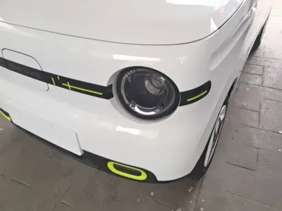 Galaxy Panda