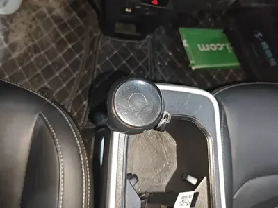 NETA Neta V