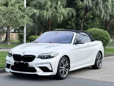 BMW 2 Series (Import)