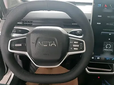 NETA Neta V