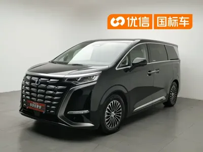 Denza Denza D9