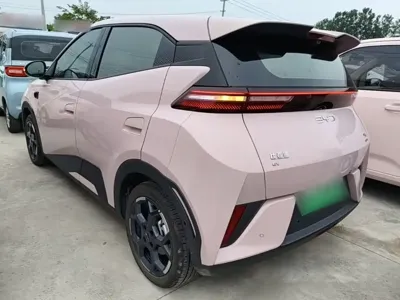 BYD Seagull