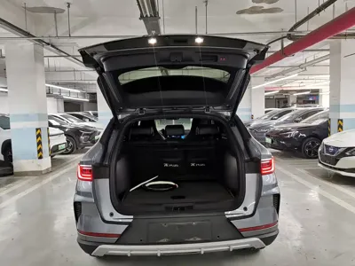 BYD PLUS New Energy