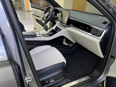 BYD PLUS New Energy