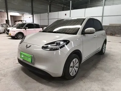 Wuling Bingo