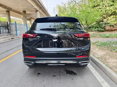 Buick Envision S