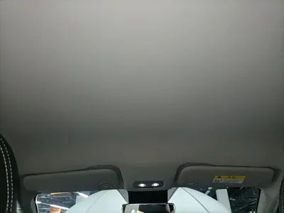 NETA Neta V