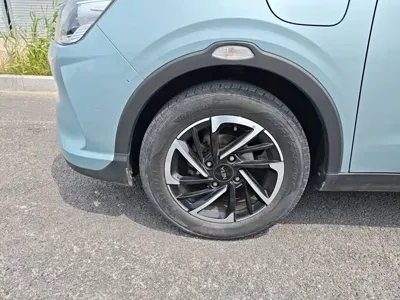NETA Neta V