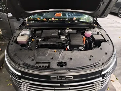 BYD Destroyer 05