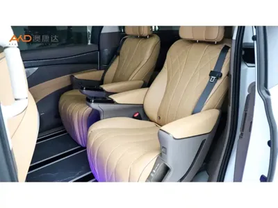 Denza Denza D9