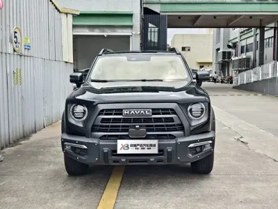 Haval Big Dog