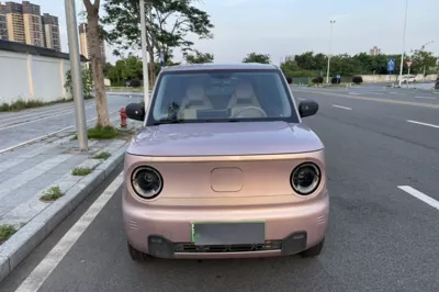 Geely Galaxy Panda