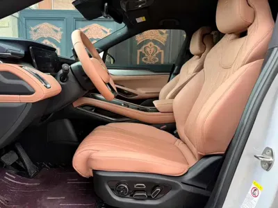 BYD L EV