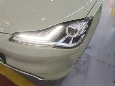 NETA Neta V