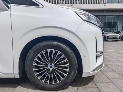Denza Denza D9