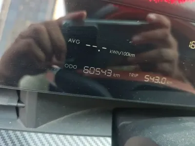 NETA Neta L