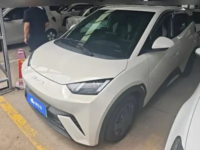 BYD Seagull
