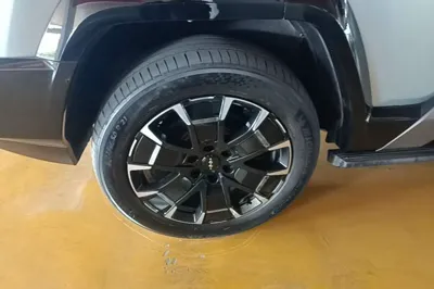 Formula Leopard Leopard 8