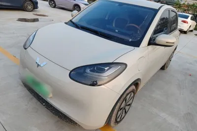 Wuling Bingo