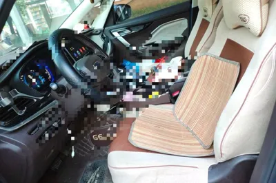 Geely Auto Jiajie