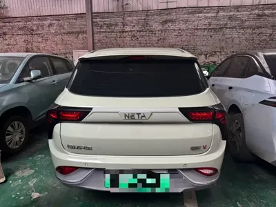 NETA Neta V