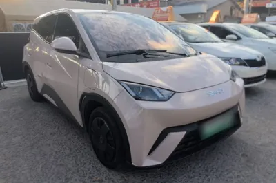 BYD Seagull