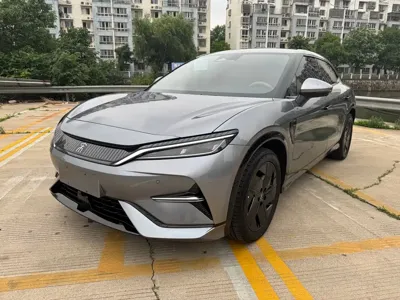 BYD L EV