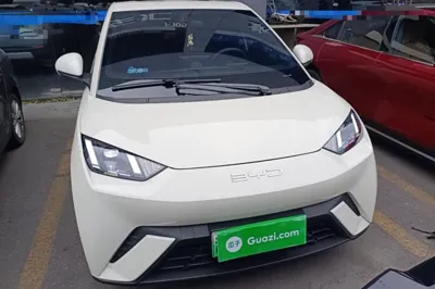 BYD Seagull