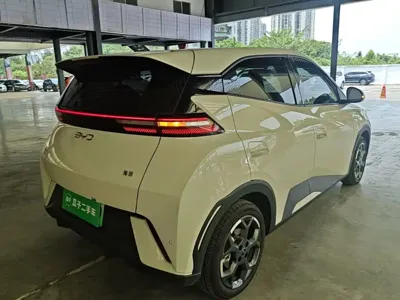 BYD Seagull