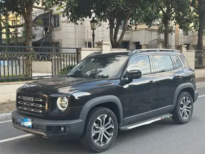 Haval Big Dog
