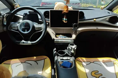 BYD Dolphin