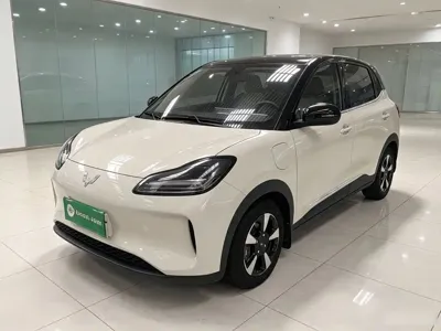 Wuling Bingo PLUS