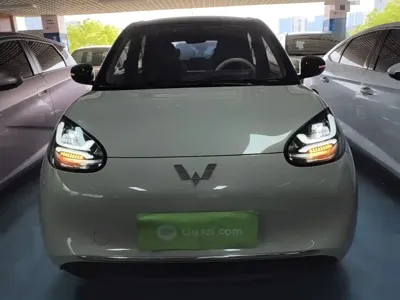 Wuling Bingo