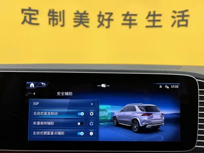 Mercedes-Benz 奔驰GLE(进口)