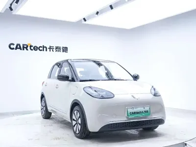 Wuling Bingo