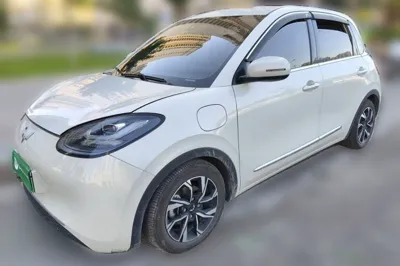 Wuling Bingo