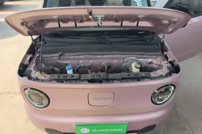 Geely Galaxy Panda