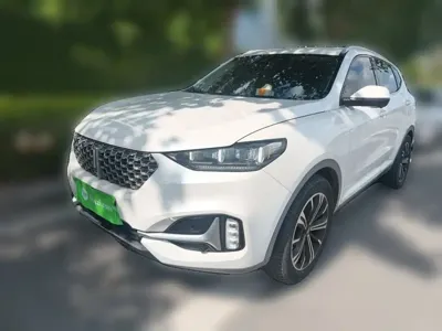 WEY Wey VV6