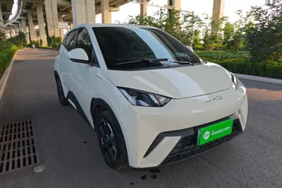 BYD Seagull